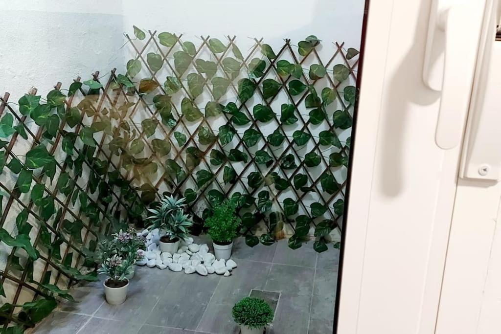 Loft Entero Centro Alicante Zewnętrze zdjęcie